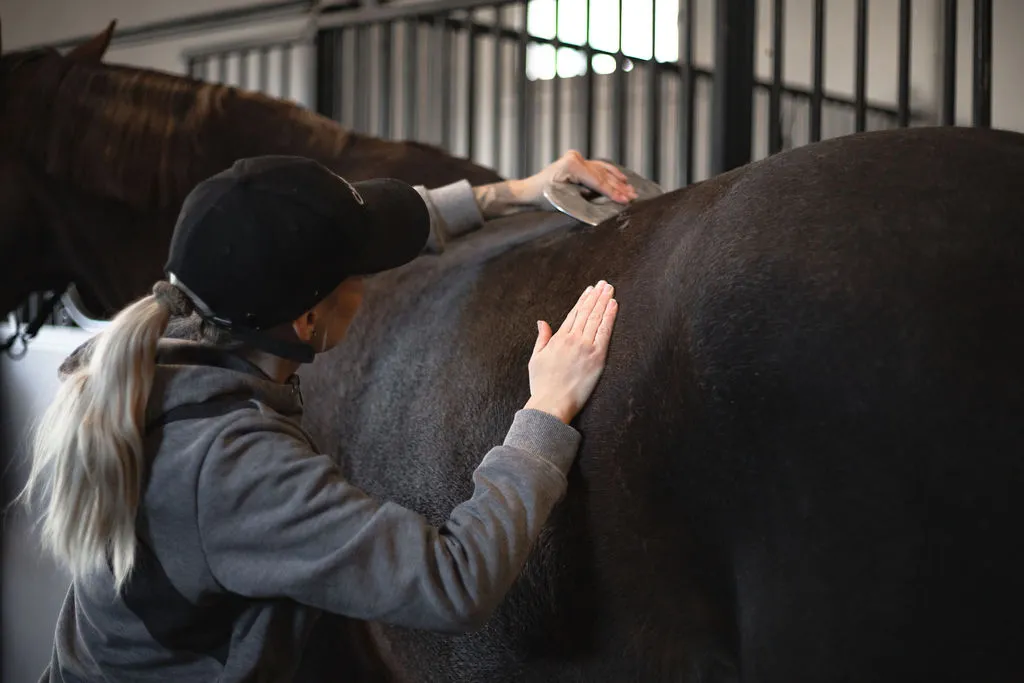 Nainen harjaa tummaa hevosta tallissa, jossa on metalliset parret ja luonnonvalo. Naisella on harmaa huppari ja musta lippalakki.